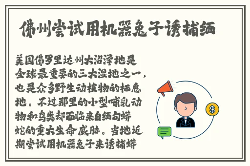 无码**精品一区二区三区66